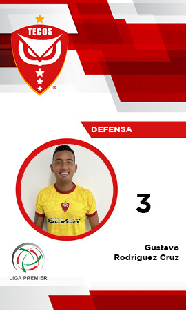 Defensa